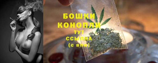 СК Новокубанск
