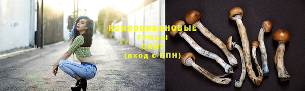 кокс Новозыбков