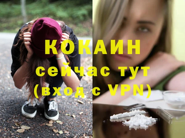 СК Новокубанск